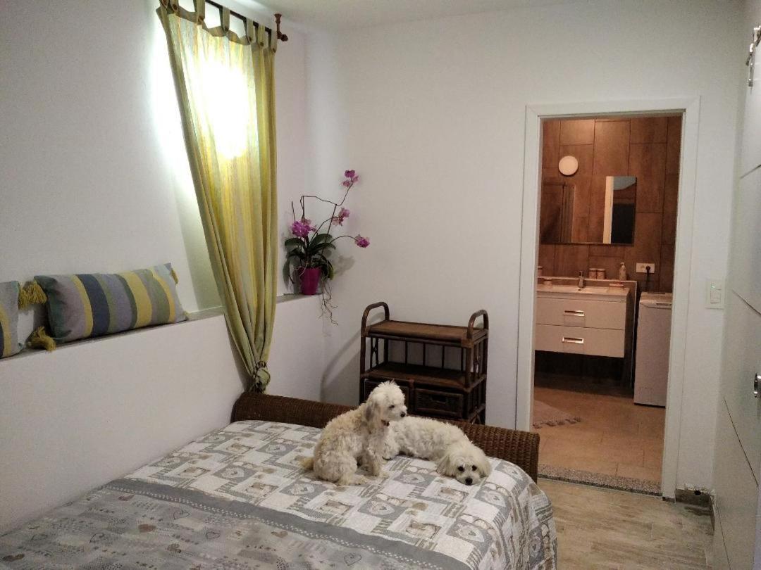 Apartment Trieste M&M Múggia Екстериор снимка